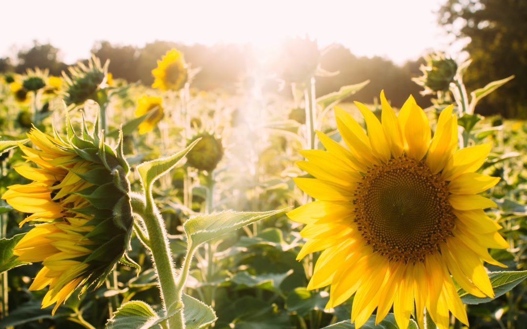 Luisteren naar je hart vergroot je vitaliteit